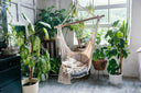 Alles Knus | Biophilic Design: Haal de Natuur in Huis voor een Gezond en Harmonieus Interieur