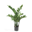 Emerald Kunstplant Zamioculcas Groen .662C