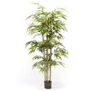 Emerald Kunstplant Bamboe 150 Cm