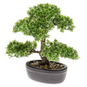 Emerald Kunstplant Mini Bonsai Ficus Groen 32 Cm 420002