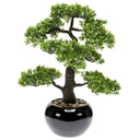 Emerald Kunstplant Mini Bonsai Ficus Groen 47 Cm 420006