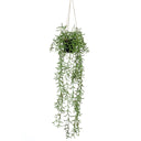 Emerald Kunstplant Hangend In Pot Senecio 70 Cm