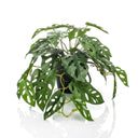 Emerald Kunstplant In Pot Monkey Monstera Struik 55 Cm