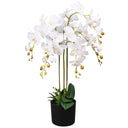 Kunstplant Met Pot Orchidee