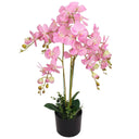 Kunstplant Met Pot Orchidee