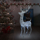 Kerstdecoratie Rendier Xxl 250 Led's 180 Cm Acryl