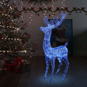 Kerstdecoratie Rendier Xxl 250 Led's 180 Cm Acryl