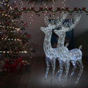 Kerstdecoratie Rendier Xxl 250 Led's 180 Cm Acryl