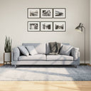 Vloerkleed Shaggy Hoogpolig Modern Blauw