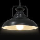 Hanglamp E27 Ø 31 Cm Ijzer Zwart