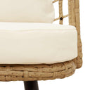 Tuinstoel Met Kussens Poly Rattan