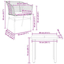 3-Delige Tuinset Met Kussens Poly Rattan Glas