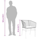 3-Delige Tuinset Met Kussens Poly Rattan Glas